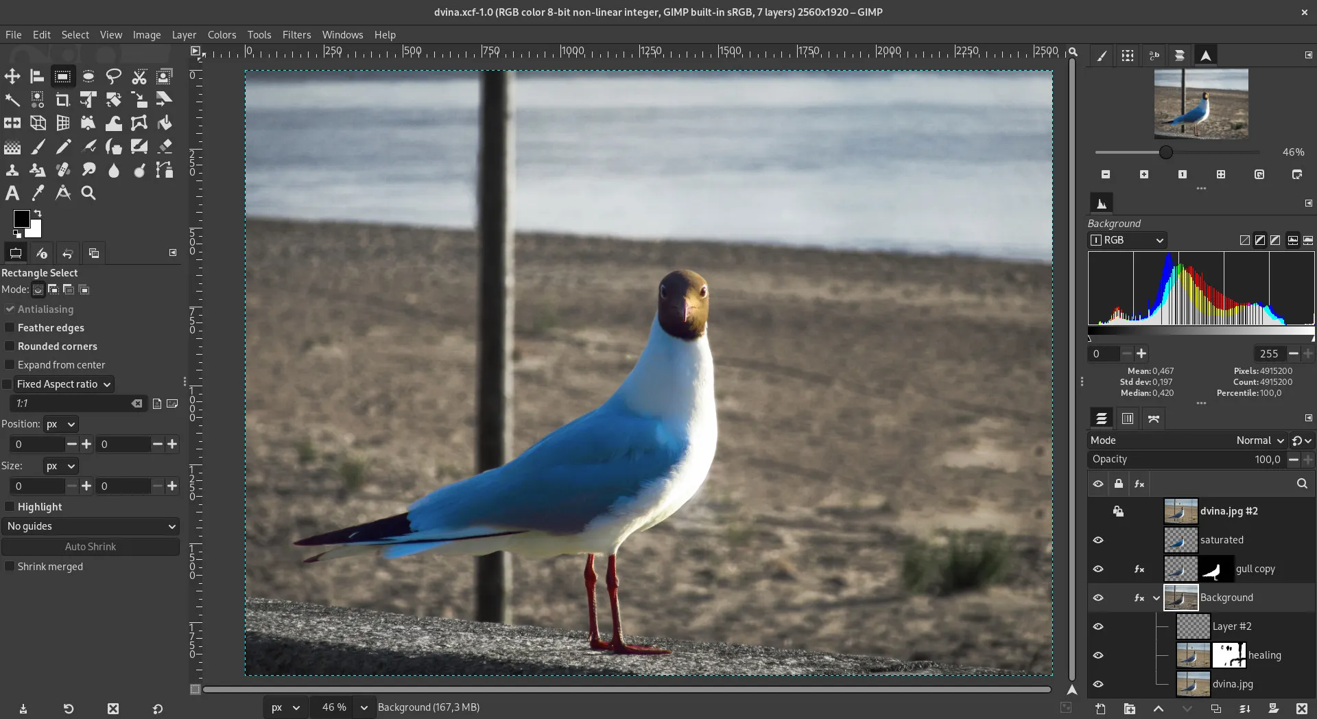 مساحة عمل GIMP تعرض جلسة تحرير صورة